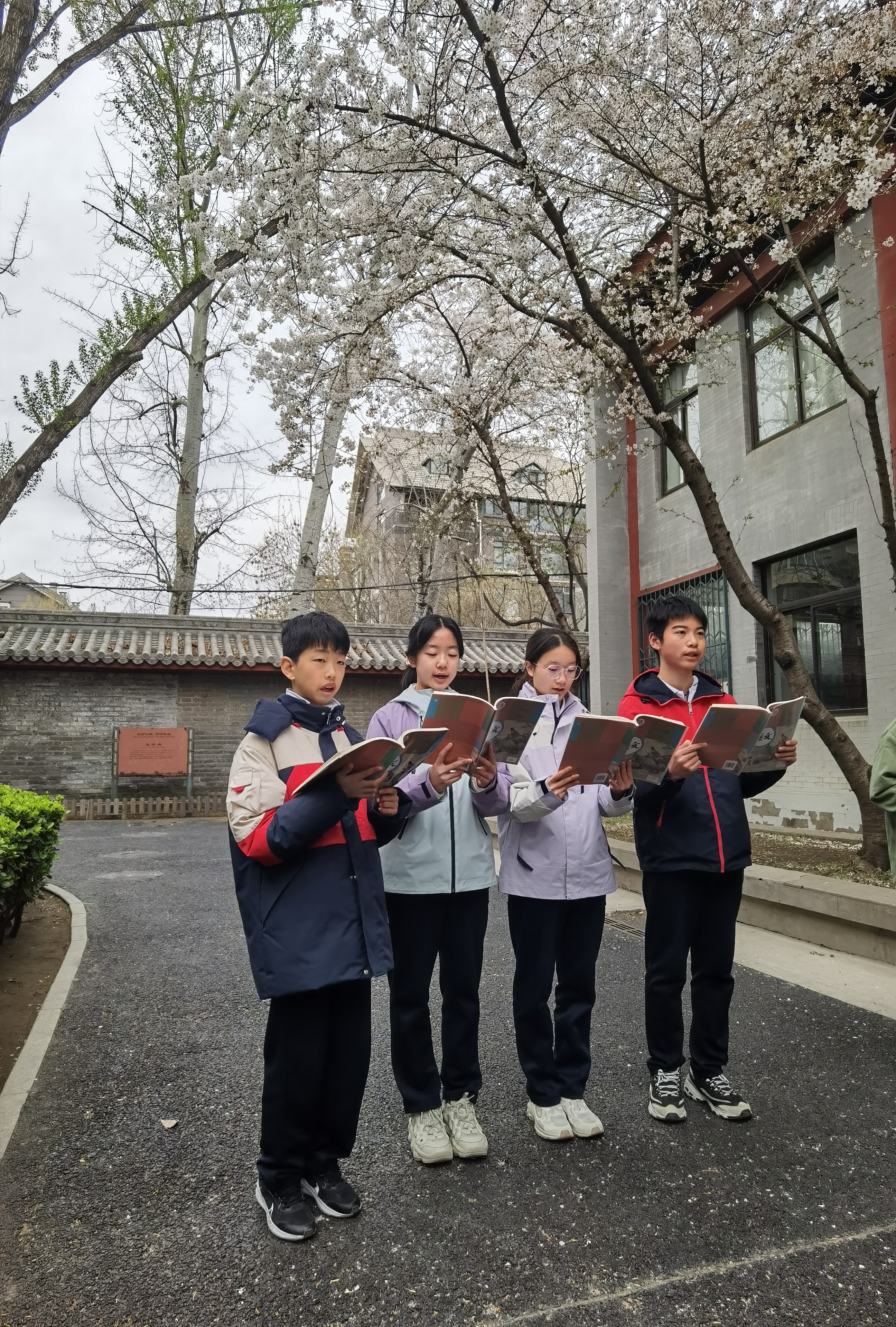 微信图片_20250329165919.jpg 微信图片_20250329165919.jpg