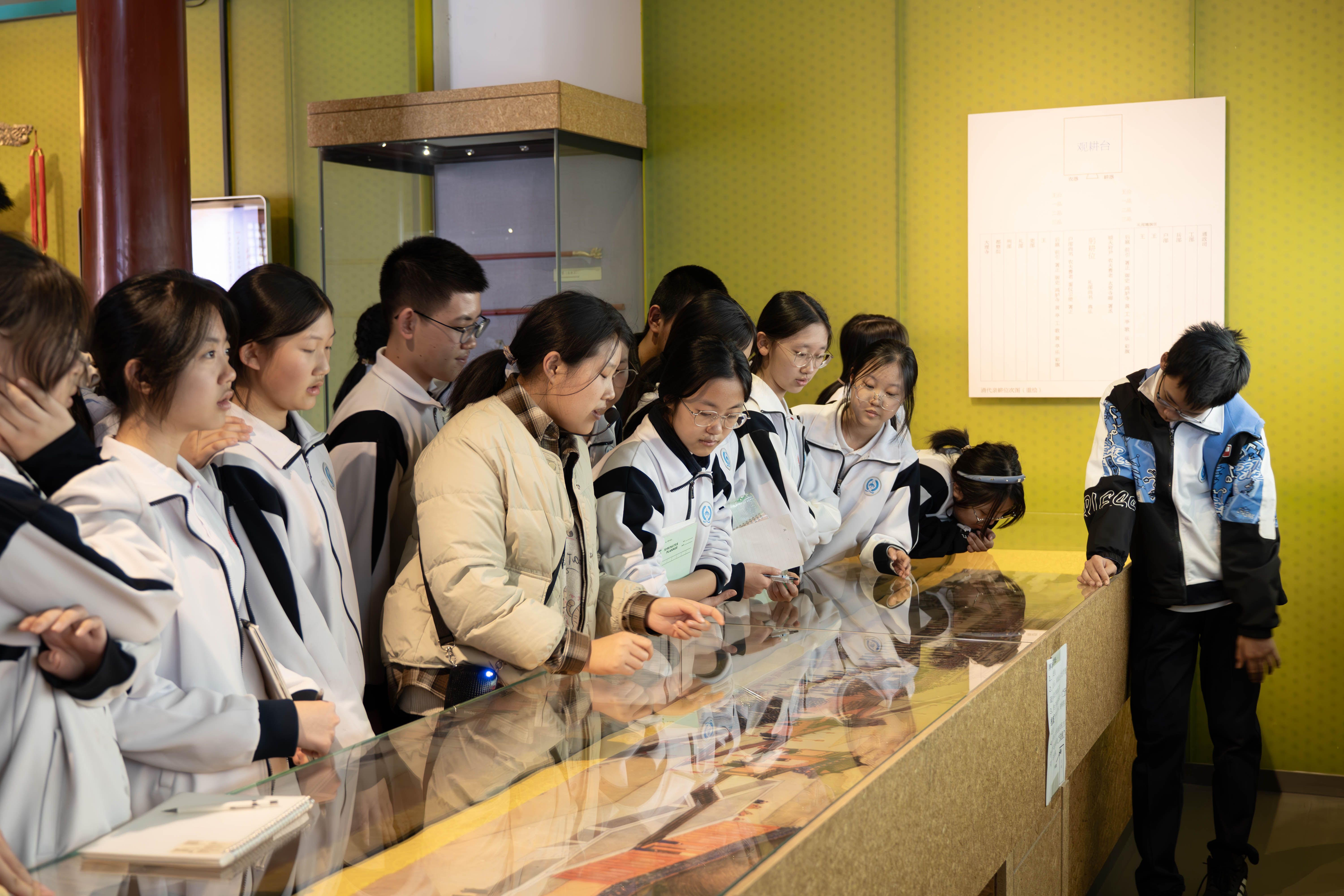 _ZTC9046-已增强-降噪-9.jpg