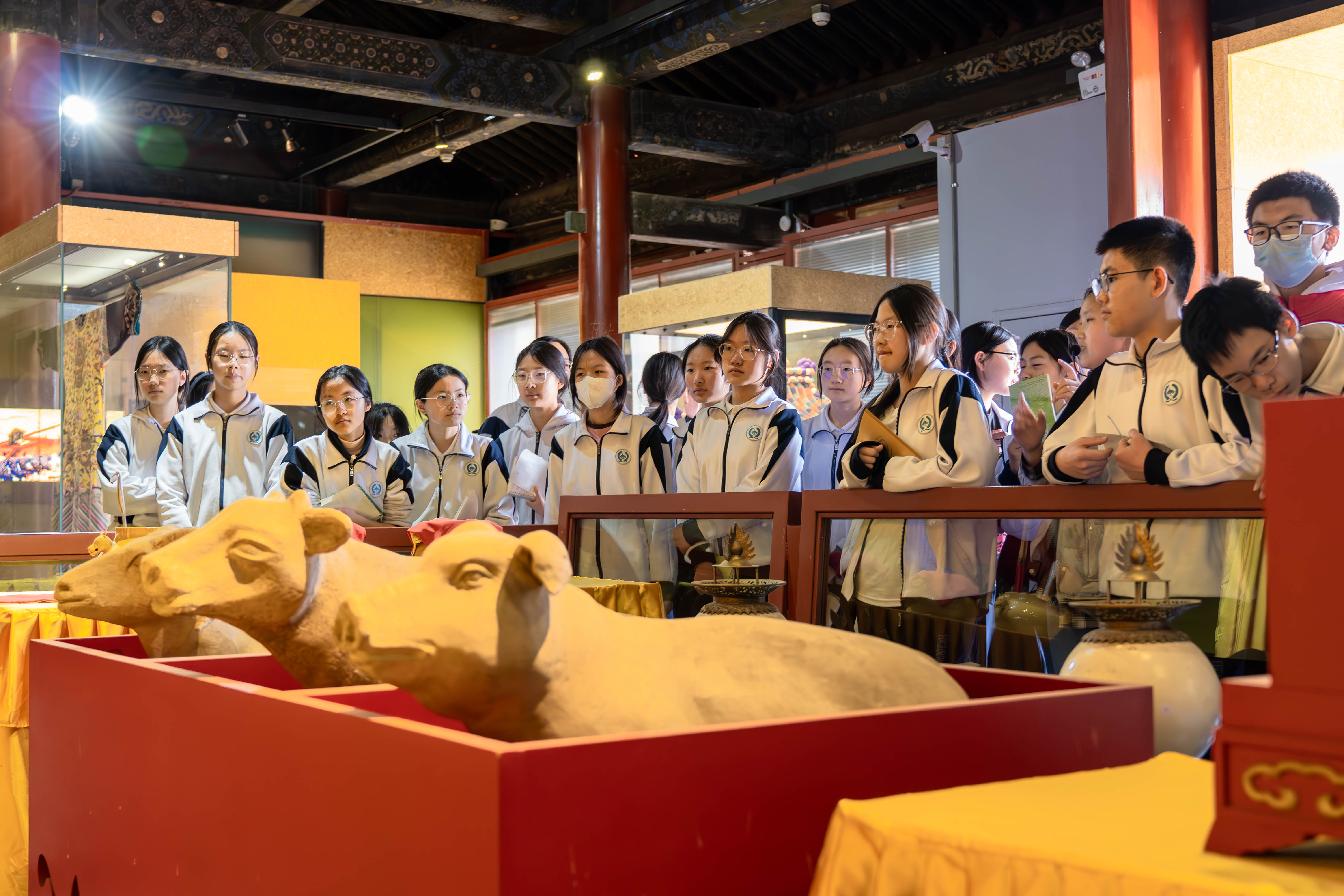 _ZTC9031-已增强-降噪-4.jpg