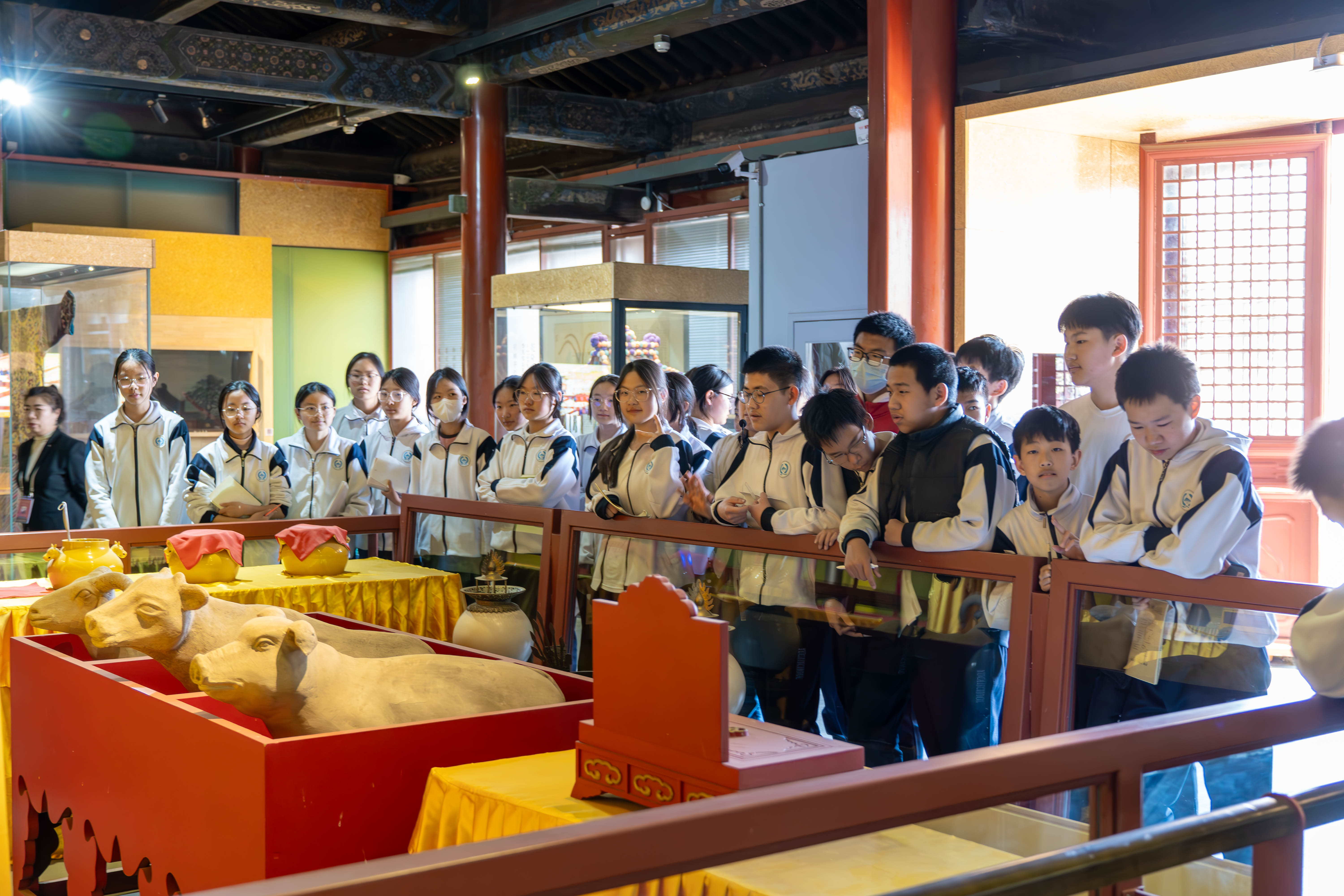 _ZTC9030-已增强-降噪-3.jpg