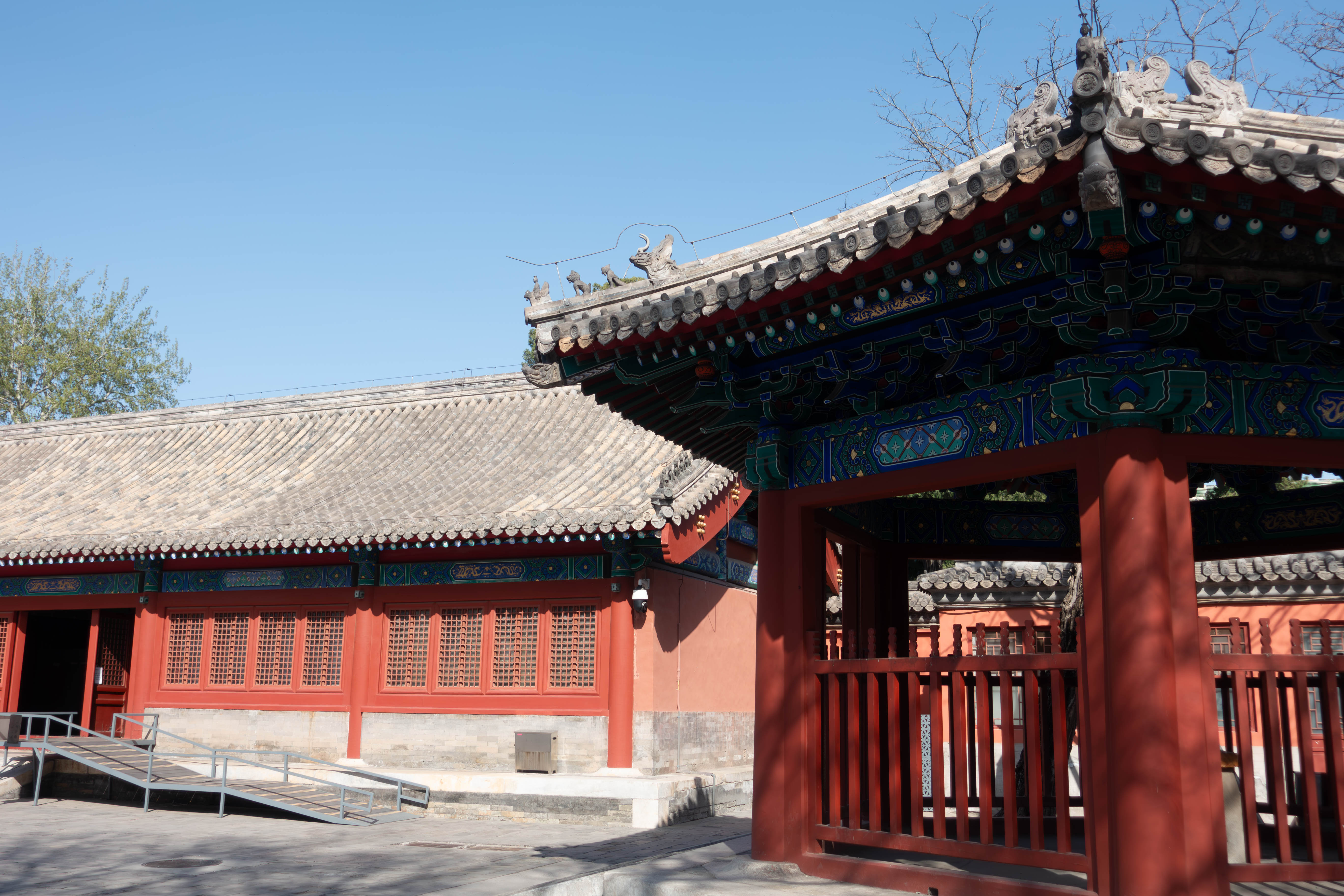 _DSC4183-已增强-降噪-1.jpg