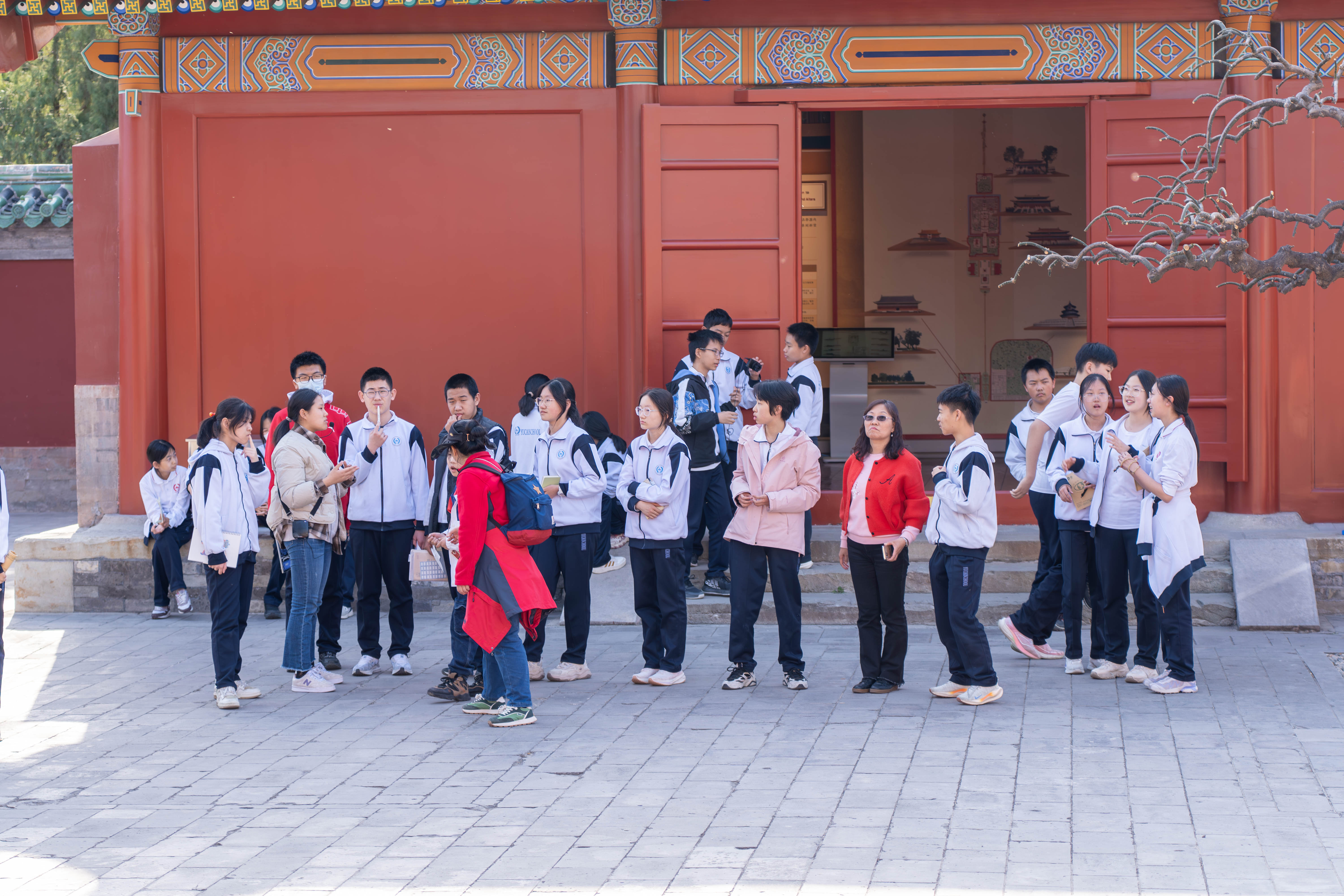 _ZTC9149-已增强-降噪-36.jpg