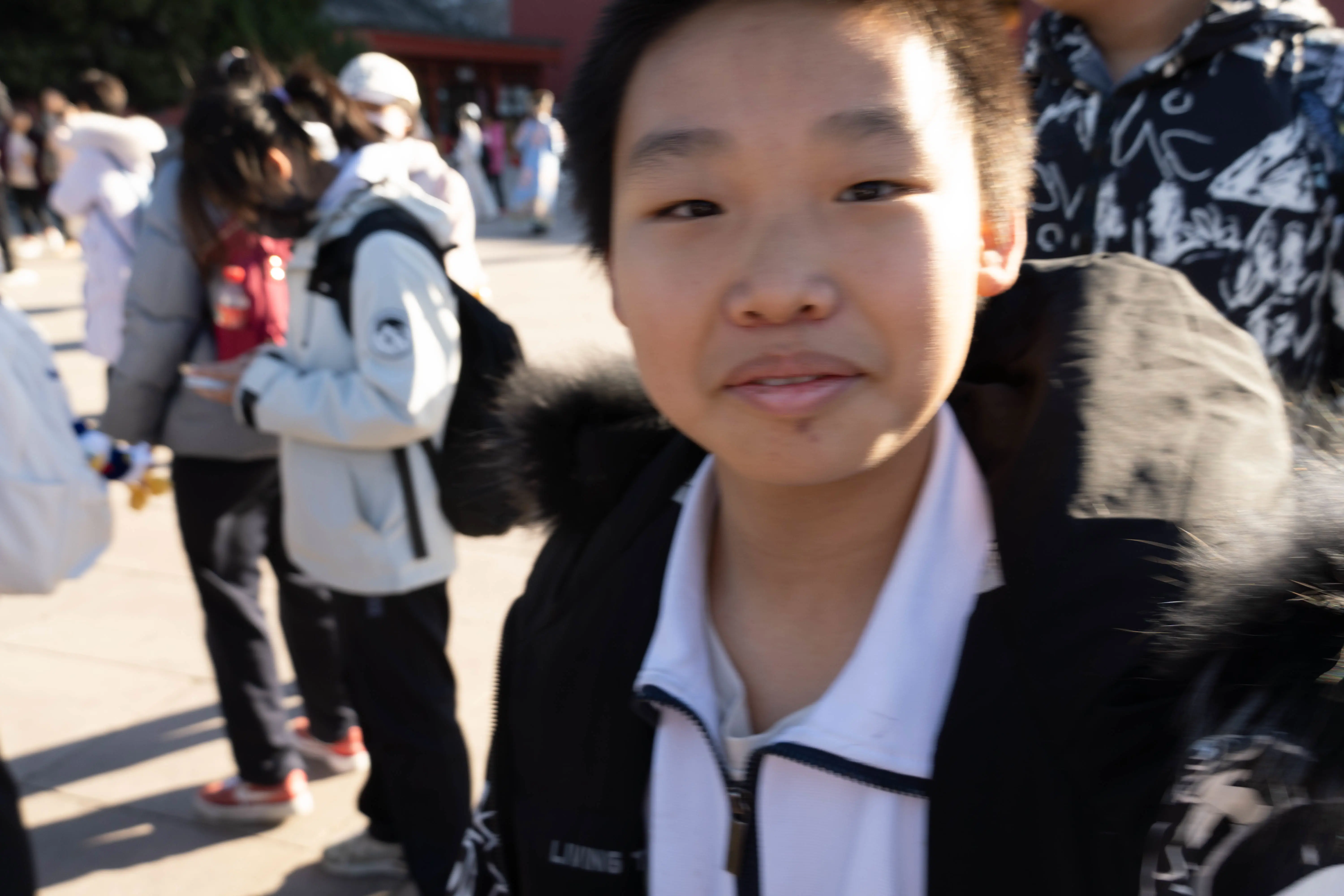 _ZTC3325-393.webp