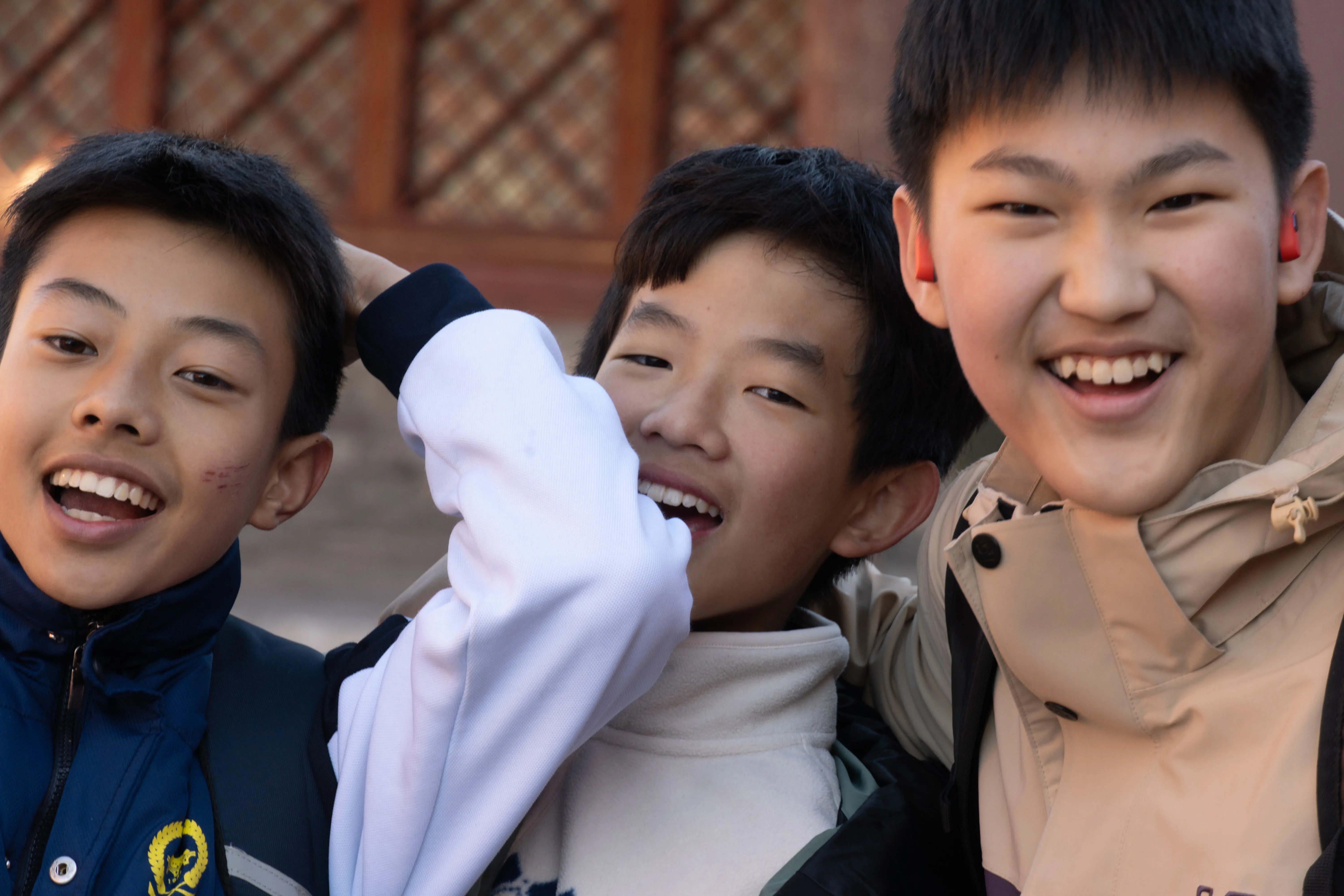 _ZTC3306-374.webp